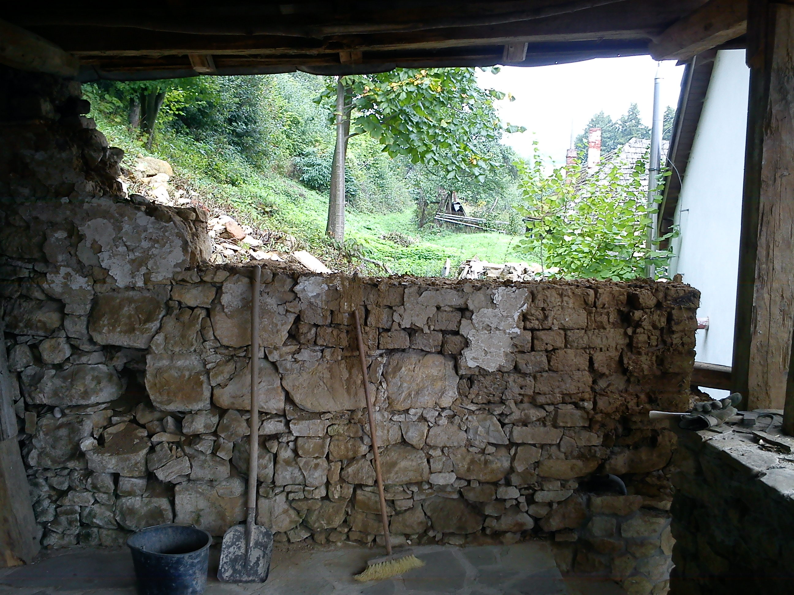 DSC00818
